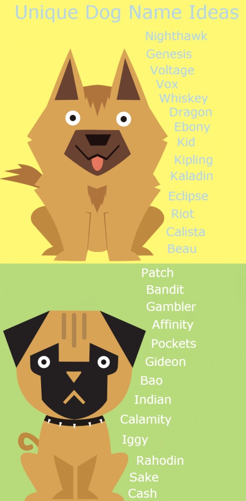 cool unisex english names for pets