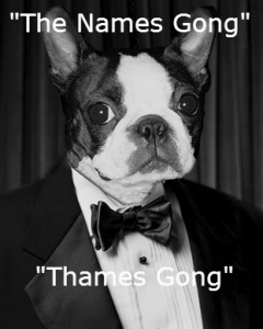 James_Bond_Dog-2