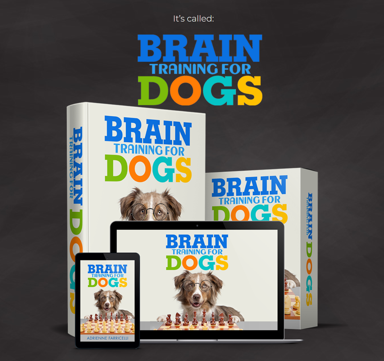 BrainTraining4Dogs